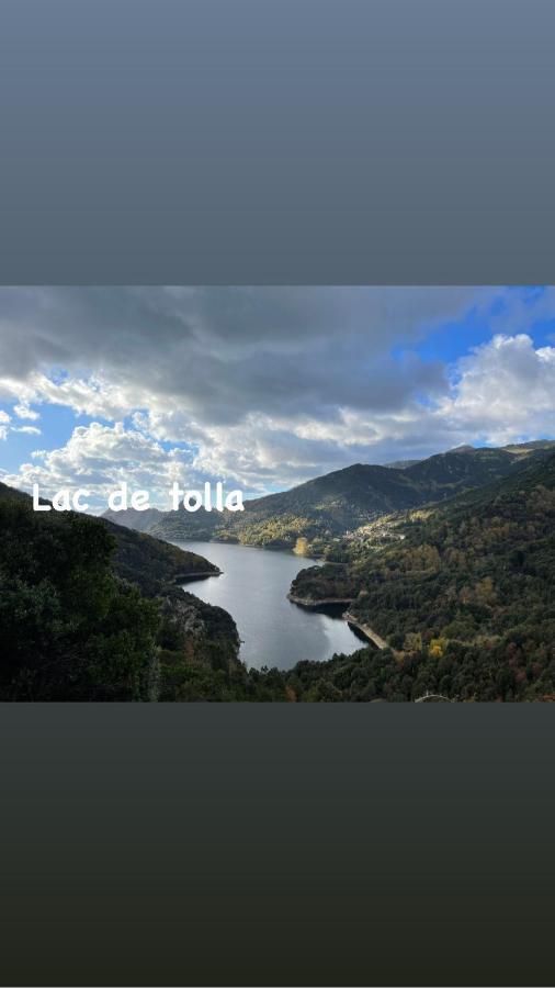 Magnifique Villa Recente Entre Mer Et Montagne Situee Entre Ajaccio Et Porticcio Cauro Kültér fotó